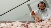 Jewish groups take food inspection agency to court over slaughter guidelines