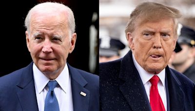 LGBTQ+ voters prefer Biden and Democrats over Trump but want them to do more: poll