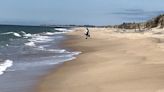 Ready for a shore leave? East Beach has the ocean, a salt pond and great birding