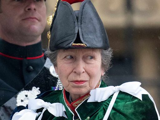 Princess Anne Shares First Message After Hospitalization for Concussion from Horse 'Incident'