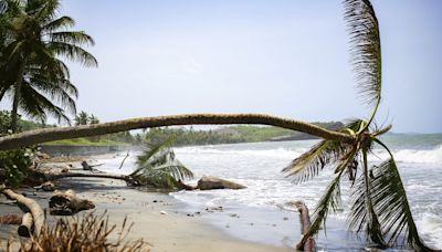 Canadians in Grenada and Montreal rally to help after hurricane Beryl devastation