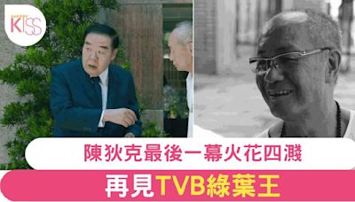 TVB綠葉王陳狄克離世 眾星哀悼影視巨星最後身影震撼全場