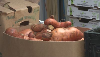 Study shows food insecurity remains a struggle for Maine families