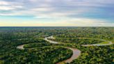 Amazonía de Ecuador pierde más carbono forestal del que gana