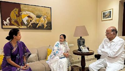 After Uddhav Thackeray, Mamata Banerjee meets Sharad Pawar during Mumbai visit