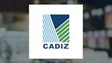 Cadiz Inc. Forecasted to Post Q2 2024 Earnings of ($0.10) Per Share (NASDAQ:CDZI)