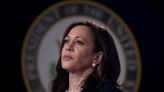 Kamala Harris is Biden's heir apparent, but some Democrats not sold: ANALYSIS