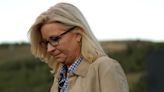 The liberal backlash against Liz Cheney is well underway