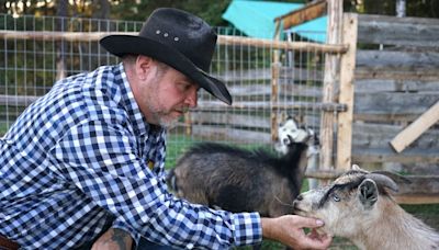 Beyond Local: How one baby bird led to a Northern Alberta TikTok animal rescue petting zoo