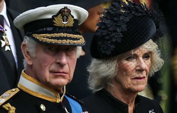 Queen Camilla's very telling two-word response to Harry and Meghan engagement