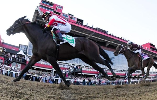 2024 Preakness Stakes horses, futures, odds, date: Expert who hit last year's superfecta reveals picks