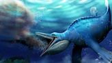 Ancient filter-feeding reptile had a freaky similarity with modern whales