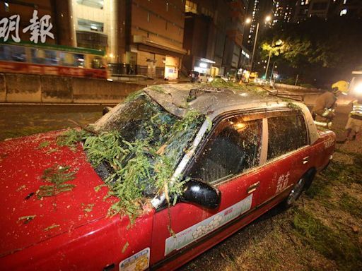 香港仔有樹木倒塌壓中的士 3人一度被困 司機手腳輕傷 (23:01) - 20240430 - 港聞