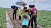 雲林縣府聯手農會合辦夏日盛果體驗 小學師生濁水溪畔摘西瓜