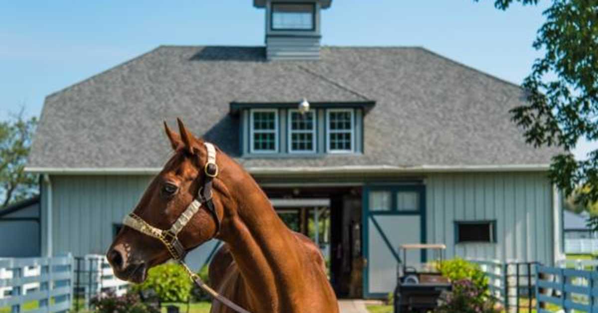 Tribute To Funny Cide Scheduled At Finger Lakes July 4