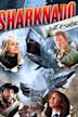 Sharknado: Heart of Sharkness