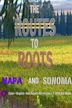 The Routes to Roots: Napa and Sonoma