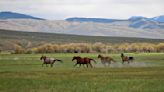 7 Luxury Ranches Across the American West That Blend Breathtaking Nature With Ultimate Seclusion