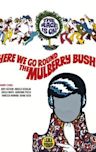 Here We Go Round the Mulberry Bush (film)