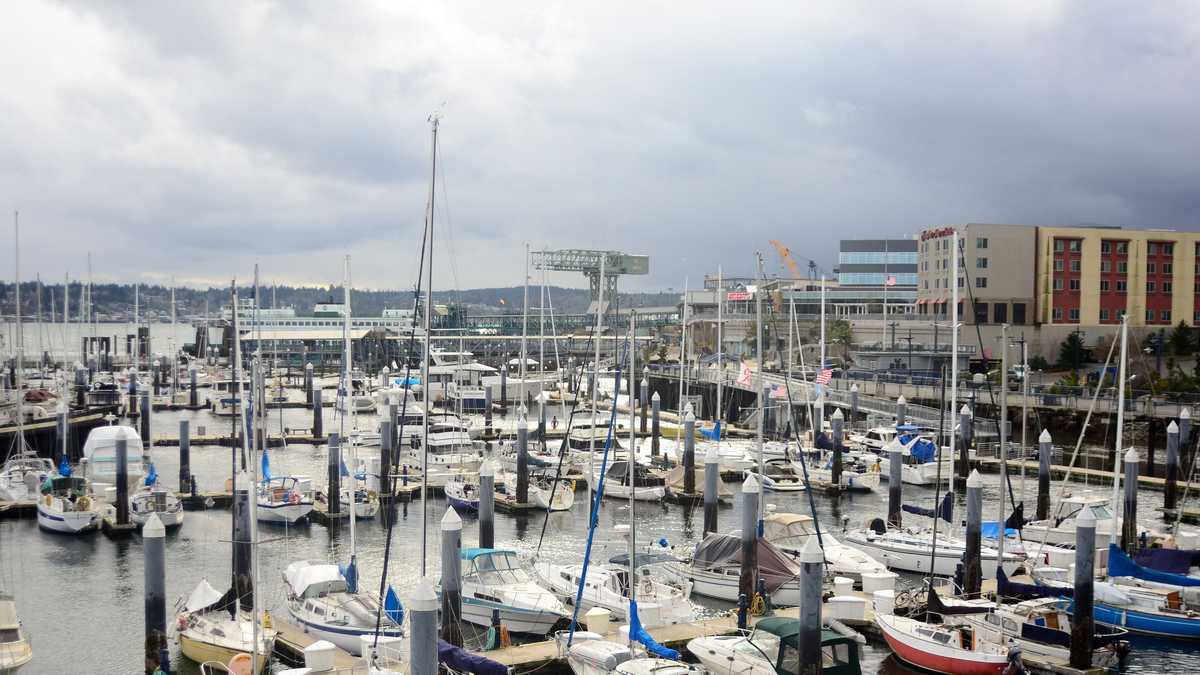 River otter drags child off dock and underwater in rare attack at Washington marina