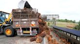 Exclusive-Malaysia may cut palm oil export tax by half amid global supply crisis