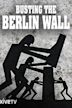 Rise and Fall of the Berlin Wall