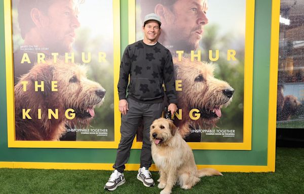 Is ‘Arthur The King’ Streaming? Here Are Ways To Watch Mark Wahlberg’s Dog Movie Online