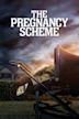 The Pregnancy Scheme