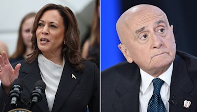 Ex-NYSE CEO says Biden’s 'quick' departure, Harris’ rise is 'reminiscent' of iconic 'Godfather' scene