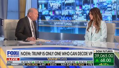 ‘You Need to Stop!’ Kristi Noem Loses It At Fox Host For Repeatedly Asking About Puppy Killing