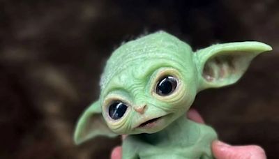 ‘Tiny Elf Yoda’ Is the Jedi House Elf You Didn’t Know You Needed