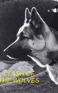 Clash of the Wolves