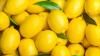 Au frigo ou à température ambiante : quelle est la meilleure option pour conserver longtemps ses citrons ?