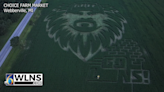 Webberville farm welcomes corn maze of Lions coach’s face