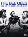 The Bee Gees: How Can You Mend a Broken Heart