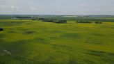 Sask. farmers says weigh the 'pros and cons' to soaring land prices