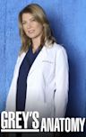 Grey's Anatomy - Season 8