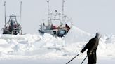Seal hunt advocate claims vindication, as Senate committee urges help for industry