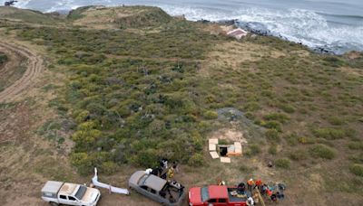 Bodies found in Mexico likely those of missing surfers: authorities