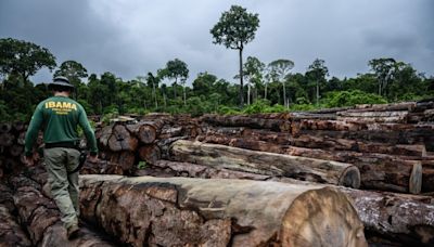 É inexplicável relutância do PT em reforçar combate ao desmatamento