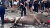 Collapsed horse in NYC reignites calls for carriage ban