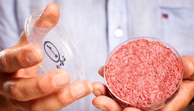 Florida bans lab-grown meat, adding to similar efforts in four states