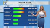 Windy and cooler start to the week