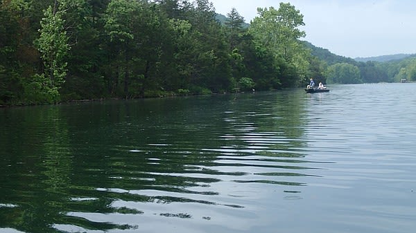 Eureka Springs lake holds high number of channel ‘cats | Northwest Arkansas Democrat-Gazette