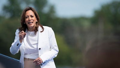 Democrat Harris didn't agree to discuss Israel arms embargo, aide says