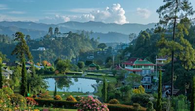 Create Memories With These Top 10 Family Activities In Mirik