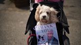 In pictures: Dogs join mourners at Paul O’Grady’s funeral