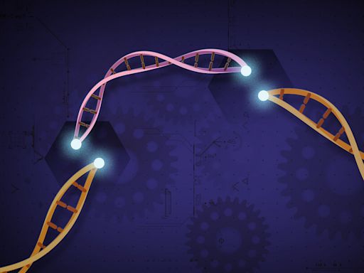 基因編輯重大突破！以 AI 設計 CRISPR 工具成功修改人類 DNA