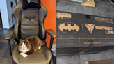 How does a Secretlab chair look after 4 years of use in the same house as two cats?