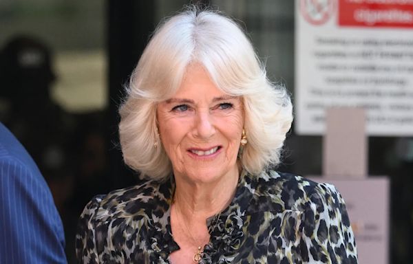 Queen Camilla Has Conditions If Harry Wants To Meet King Charles